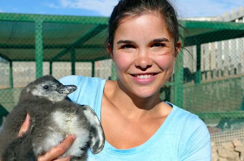 Anna kümmert sich um ein Küken. Der kleine Rudi wurde von seinen Eltern verlassen, die ihn nicht durchfüttern konnten. Weiteres Bildmaterial finden Sie unter www.br-foto.de. – Bild: BR/​TEXT + BILD Medienproduktion