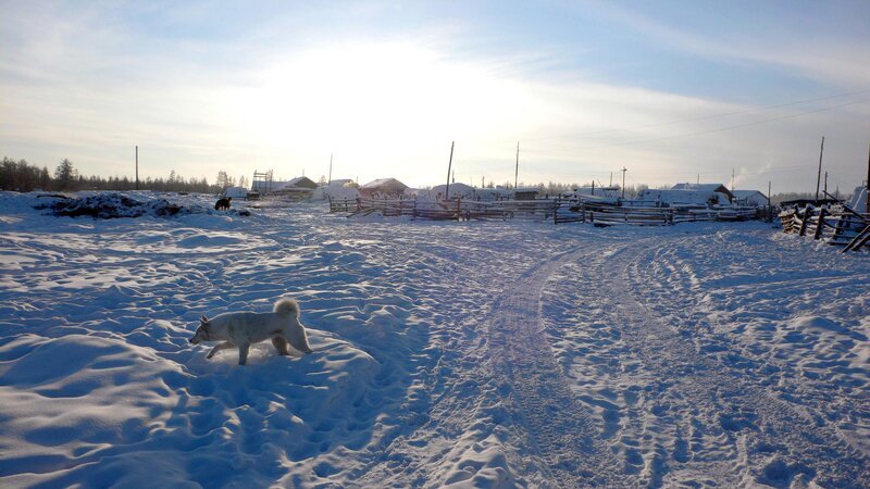 Die sibirische Ortschaft Oimjakon hält mit minus 71,1 Grad Celsius den Weltrekord für die niedrigste Temperatur, die je an einem bewohnten Ort gemessen wurde. – Bild: ORF/Cosmos Factory/Udo M Die sibirische Ortschaft Oimjakon hält mit minus 71,1 Grad Celsius den Weltrekord für die niedrigste Temperatur, die je an einem bewohnten Ort gemessen wurde. – Bild: ORF/Cosmos Factory/Udo M