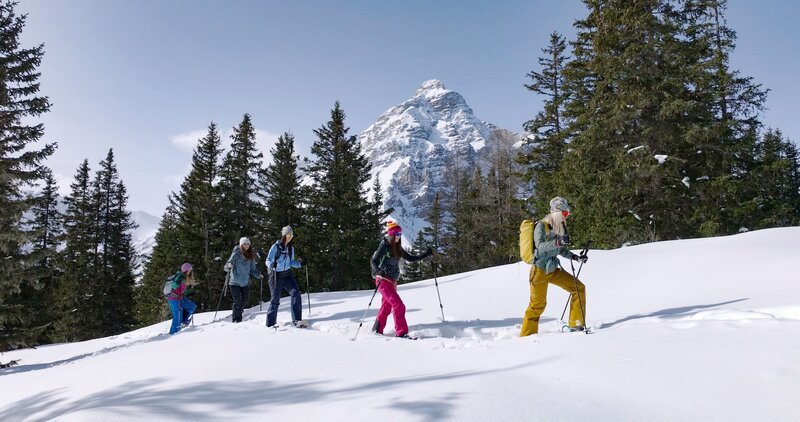 Marion Chwojan mit einer Winterwandergruppe auf der Maria Waldrast. – Bild: ORF/​ALPSOLUT MOVING PICTURES/​Johannes Mair