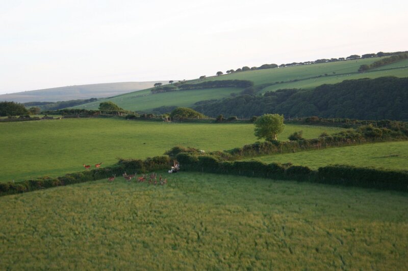 Das Exmoor war früher das Jagdrevier der Könige. Deshalb blieb es bis heute relativ unberührt erhalten. – Bild: BR/​Angelika Sigl