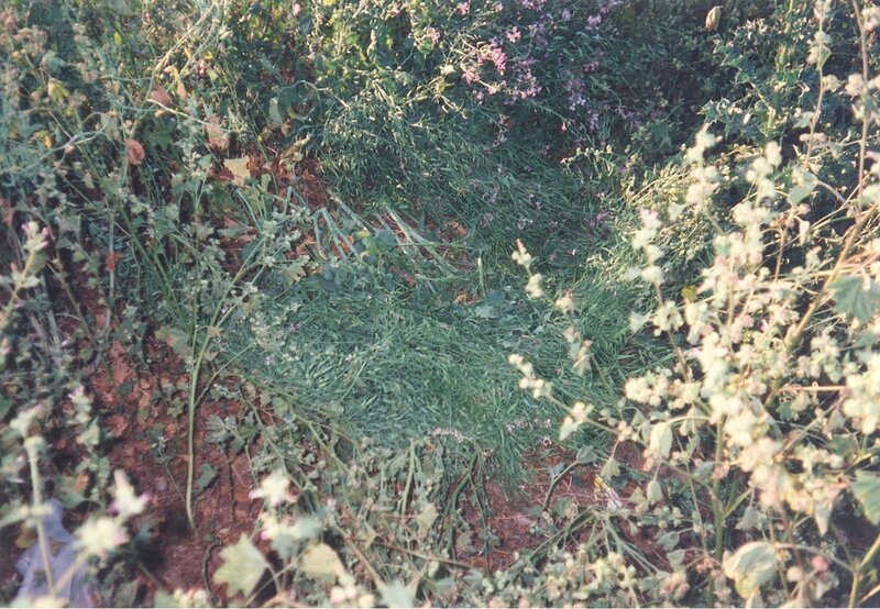 Bild: abacus /​ © Peninsula Television 2021 /​ © Crime + Investigation