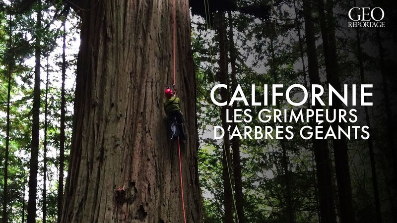 – Bild: Arte – Bild: Arte