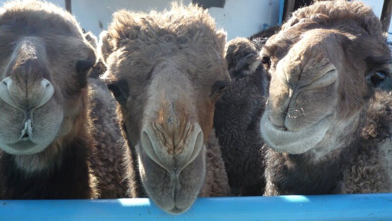 . – Bild: Marco Polo TV