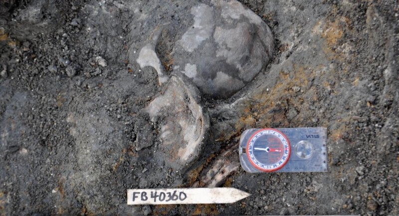 Bild: Licensed by BOAT ROCKER RIGHTS, Inc.