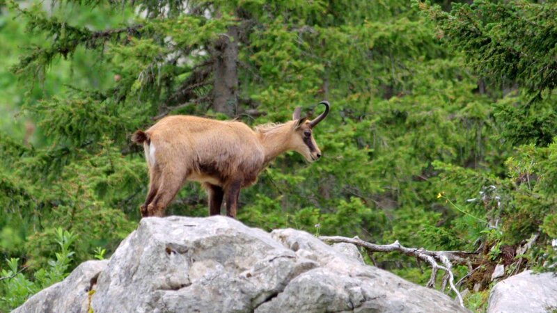 Bild: ZDF/​SRF/​doc.station GmbH