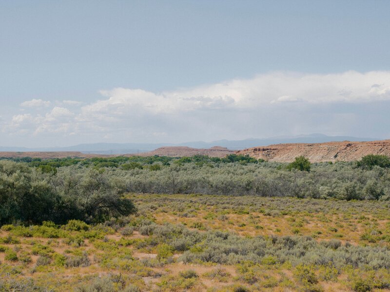 Bild: (C)HISTORY /​ A+E Networks