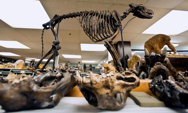 Bild: ZUMA Press, Inc.