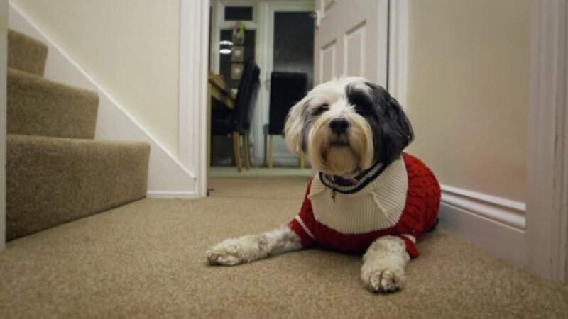 Bild: Blast! Films Ltd.