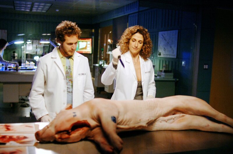 Adam (A. J. Buckley) und Stella (Melina Kanakaredes) probieren verschiedene Messertypen an einem toten Schwein aus. Nur so können sie die Tatwaffe, die zu den Stichwunden an der Leiche geführt hat, identifizieren. – Bild: RTL Crime