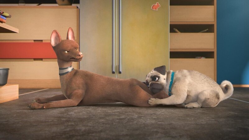 Bild: PLURIMEDIA (TeamTo)