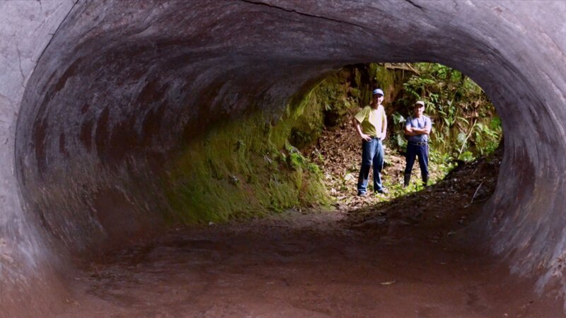 Blick in einen großen Paläoburgen in Brasilien. – Bild: uklib /​ © THE HISTORY CHANNEL /​ A+E Networks