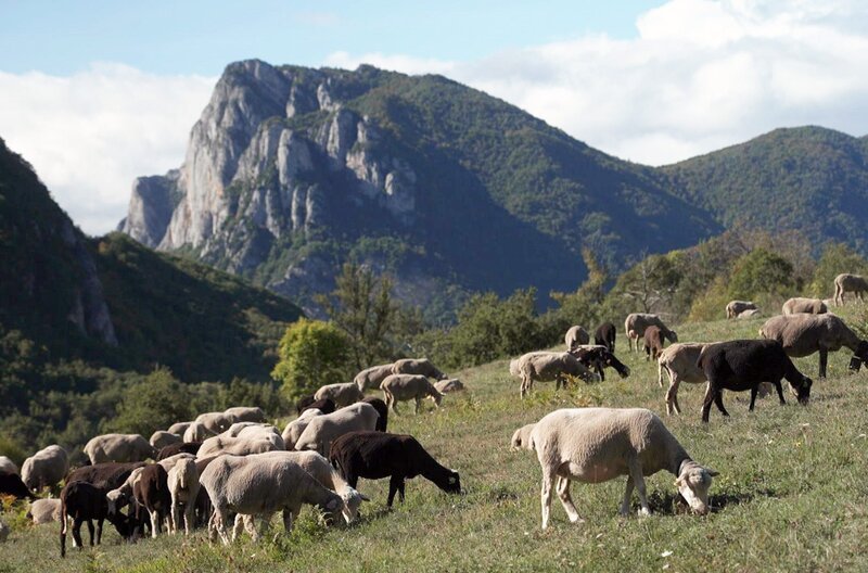 Clara Arnauds „Im Tal der Bärin“ (2023) zelebriert die Körperlichkeit der Berge. Es geht um wandernde Menschen und die Einsamkeit in einem Naturpark. – Bild: Elephant Doc