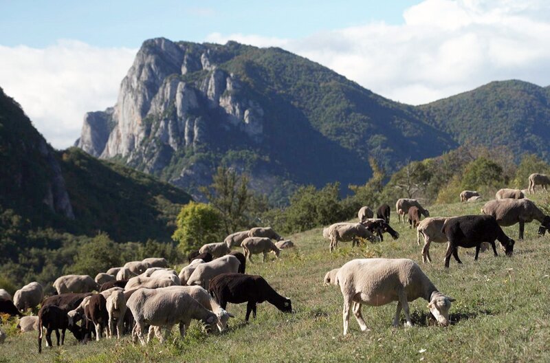 Clara Arnauds „Im Tal der Bärin“ (2023) zelebriert die Körperlichkeit der Berge. Es geht um wandernde Menschen und die Einsamkeit in einem Naturpark. – Bild: Elephant Doc