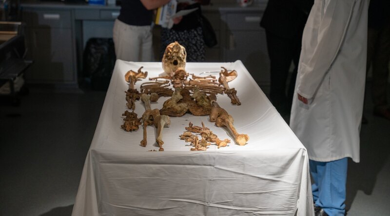 Bild: National Geographic