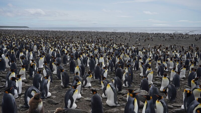 – Bild: Francois Picard – Bild: Francois Picard