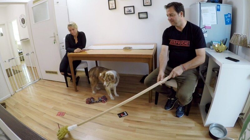 Bild: MG RTL D /​ Mina TV