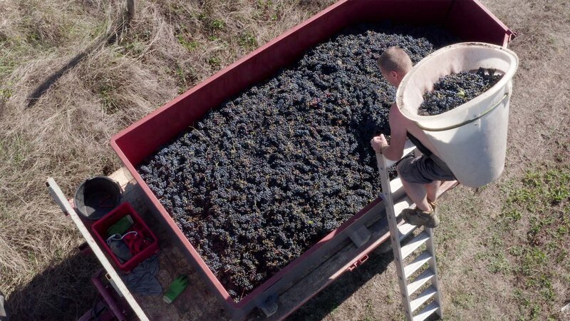 Bild: Bergblick Bild: Bergblick