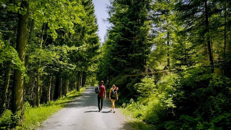 Kandidat Richard und Single Sophie gehen miteinander – zumindest ein Stück des Weges. – Bild: ORF/​TVfriends