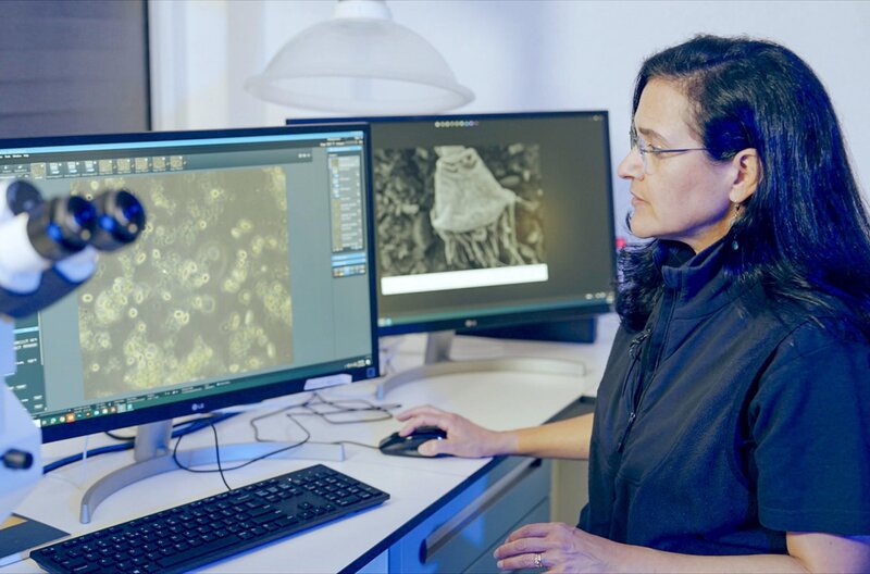 Leben auf Plastik – Bild: Axel Warnstedt/​42film