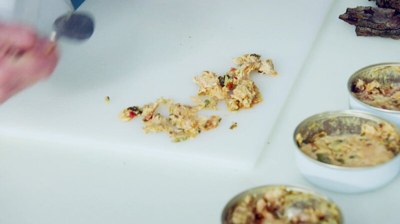 Bild: CuriosityStream Inc