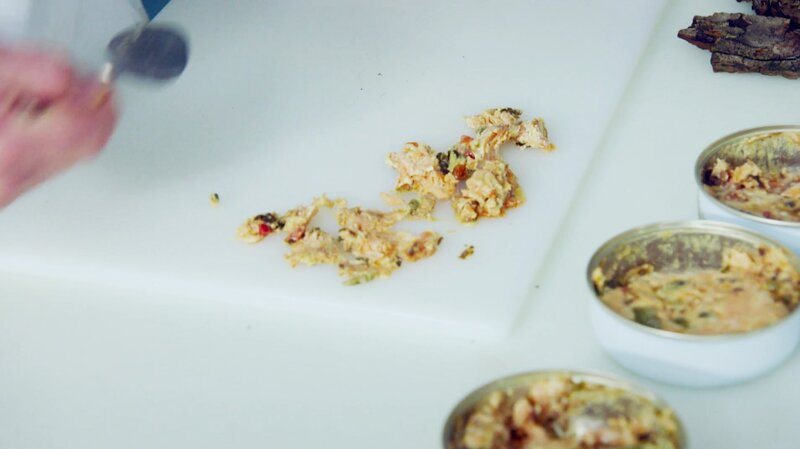 Bild: CuriosityStream Inc