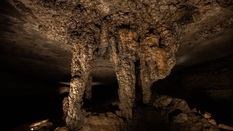 Die Mammoth Cave in Kentucky ist hunderte Kilometer lang – und ein Paradies für Fledermäuse. – Bild: ZDF und Phoenix Television