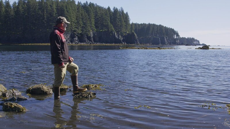 Bild: NCG NETWORK LLC