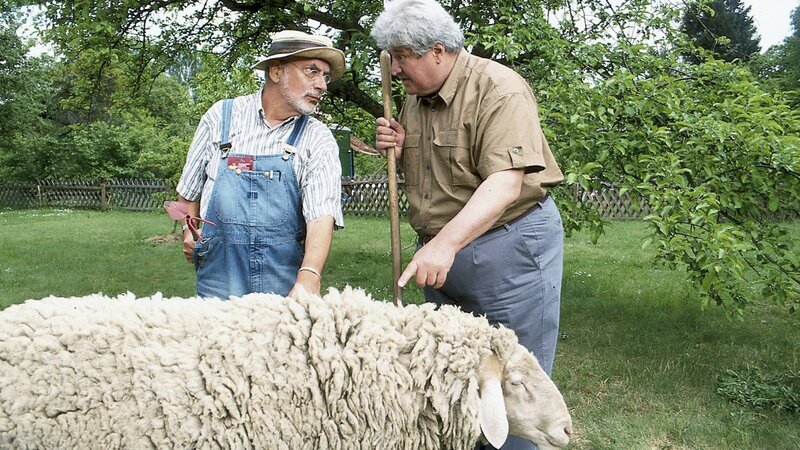 Nachbar Paschulke (Helmut Krauss, r.) zeigt Peter Lustig (Peter Lustig, l.) sein neues Schaf. Er fürchtet um dessen Leben, denn seit kurzem ist Wolfsgeheul zu hören. – Bild: ZDF und Christiane Pausch