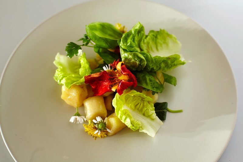 Gnocchi mit Tomatensauce und Blütensalat. – Bild: ORF 1