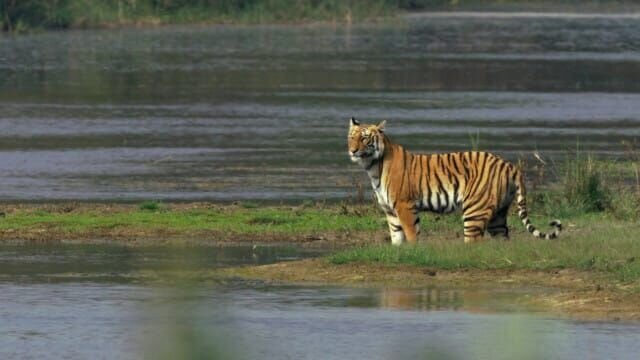 Bild: Spiegel TV Wissen