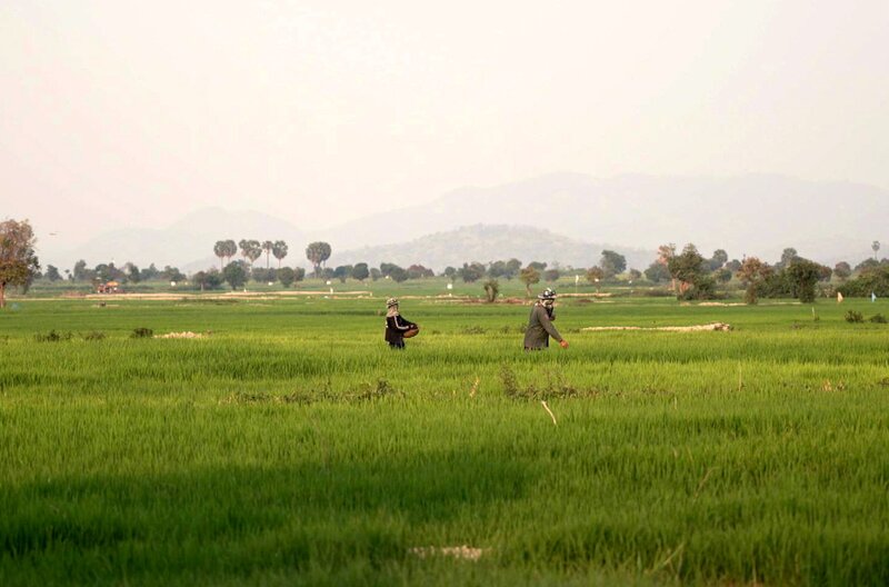 In seinem Dokumentarfilm „Das fehlende Bild“ appelliert Rithy Panh an Kambodscha, Frieden mit den Toten zu schließen und sich dem Leben zuzuwenden. – Bild: Elephant Doc