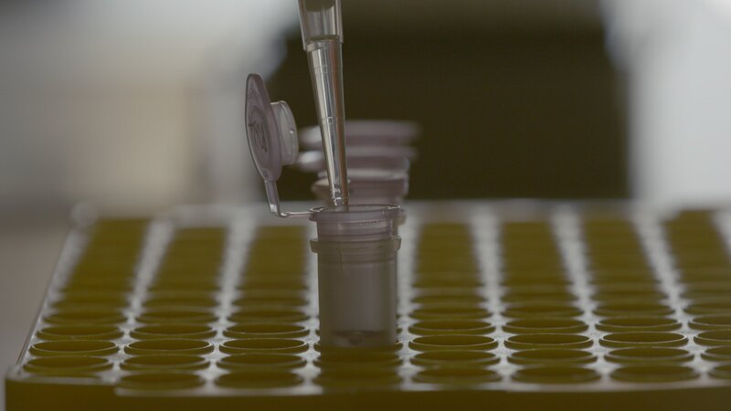 Neueste DNA-Techniken öffnen nun faszinierende Fenster in die Vergangenheit der Menschen. – Bild: ZDF und Tile Films Ltd.