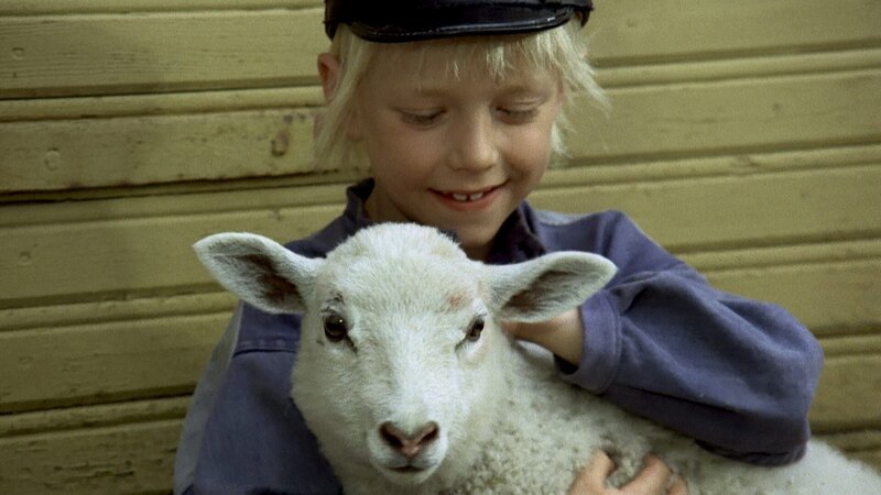 Bild: ZDF und Studio 100 media