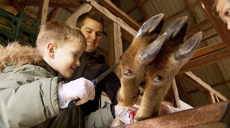 Bild: NDR/​Videomagic