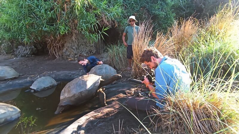 Der Kameramann Daniel Raquet dreht Schildkröten in Madagaskar. – Bild: Phoenix/​ZDF/​Daniel Raquet