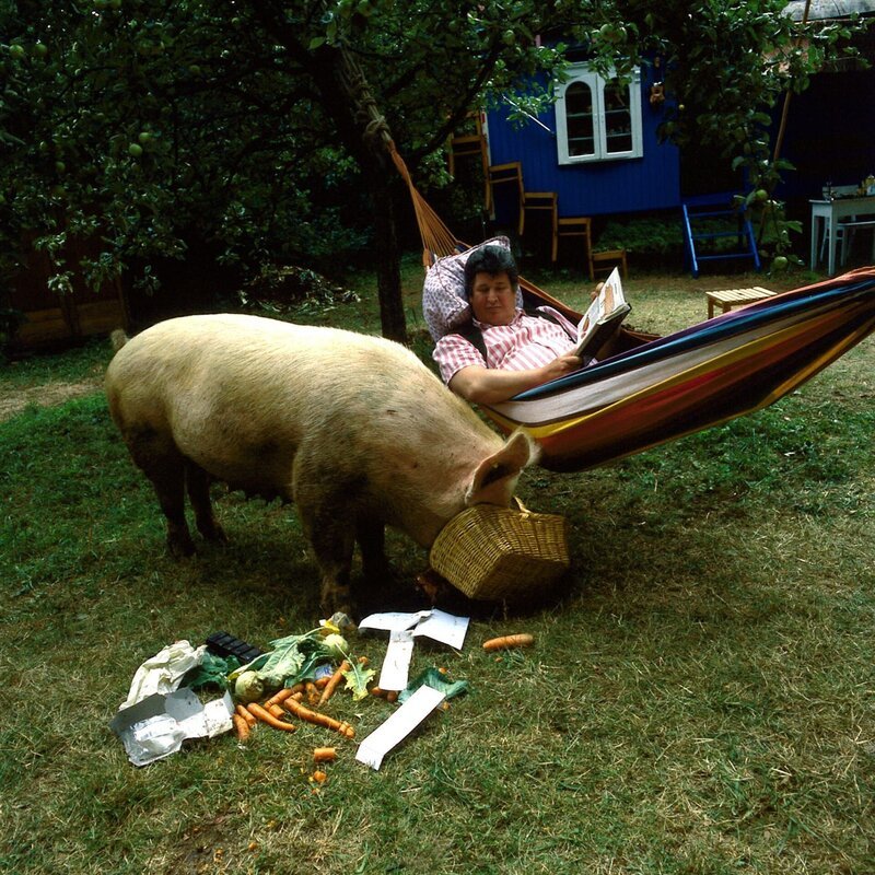 Der Nachbar (Helmut Krauss) hütet Hildegard, Peters Schwein. Er malt sich schon einen leckeren Schweinebraten mit Salbei aus, doch Peter hat da ganz andere Pläne. – Bild: ZDF und Chr. Pausch