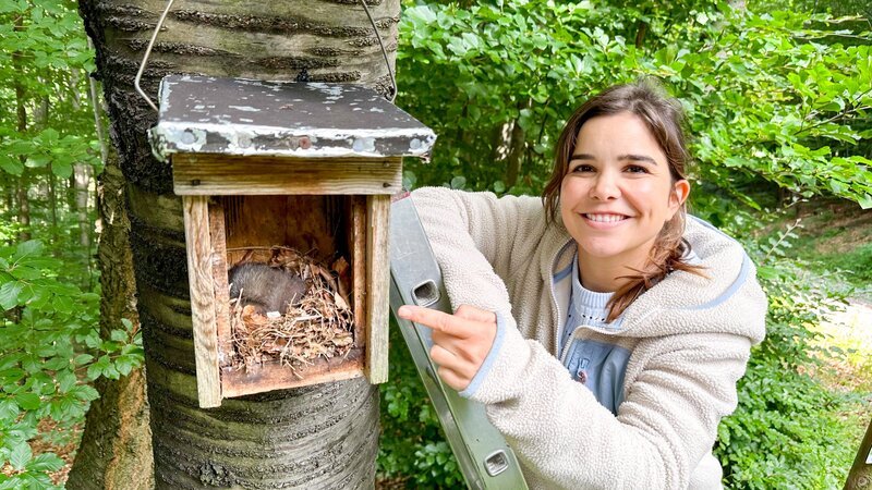 Anna und ein schlafender Siebenschläfer im Wiener Wald. – Bild: BR/​BILD+TEXT Medienproduktion GmbH & Co. KG/​Katja Schübl