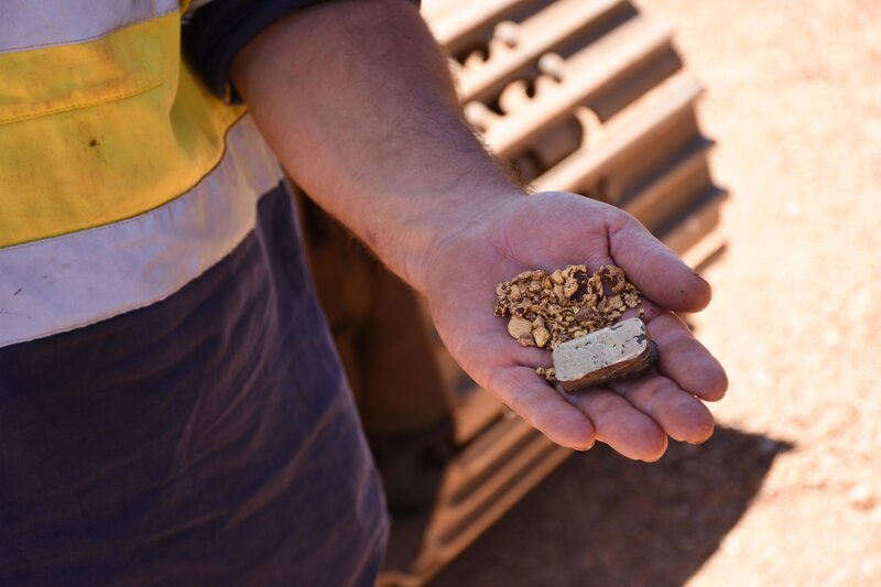 Bild: Electric Pictures Pty Ltd