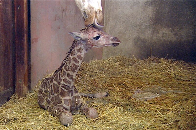 Bild: NDR/​DocLights GmbH