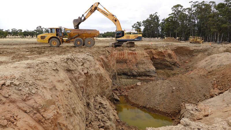 Bild: Electric Pictures Pty Ltd