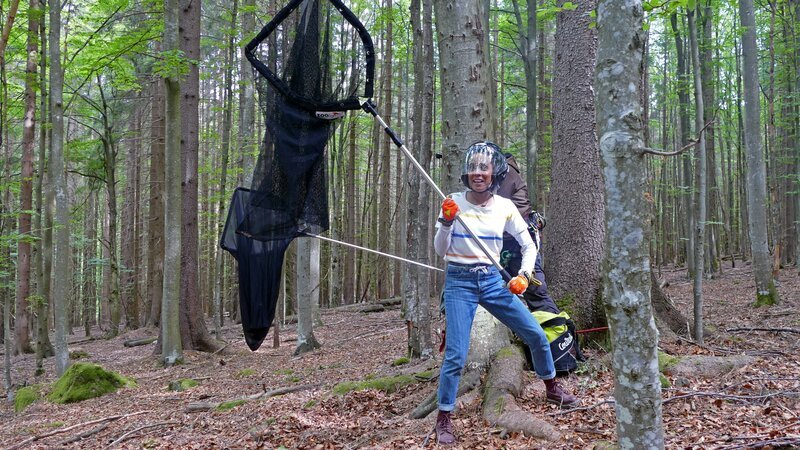 Bei einer Beringungsaktion von jungen Habichtskäuzen steht Pia Schmiere. Mit dem Kescher soll sie die Altvögel abschrecken. – Bild: BR/​Text und Bild Medienproduktion GmbH & Co.KG