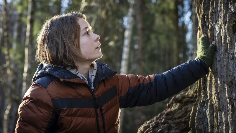 Luca (Sander Løkke Borg) erkundet den Wald. – Bild: BR/​TV 2 Denmark /​ Cosmo Film /​ Per Arnesen