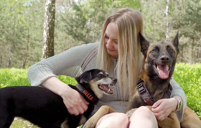 Bild: NDR/​Walrus Film