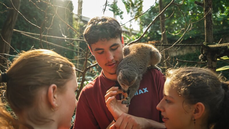 Mila, Max und Vivian füttern ein Äffchen. – Bild: MDR/​Cine Impuls Leipzig GmbH