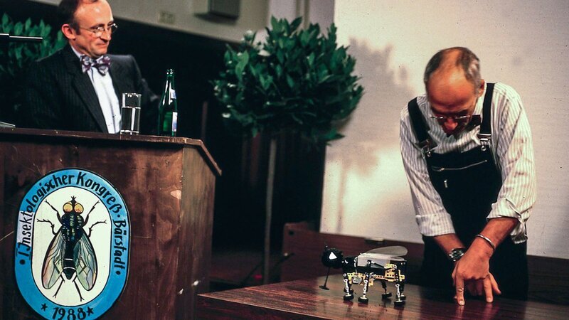 Ob es Peter (Peter Lustig) gelingt, den faszinierenden Landeflug von Fliegen zu filmen? – Bild: ZDF und studio tv