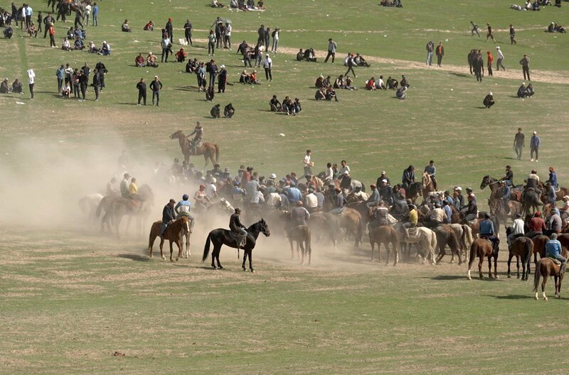 Pferde spielen in Usbekistan, ob bei den Nomaden oder bei den Sesshaften, eine große Rolle. Auf die ausdauernde Rasse der Karabaier sind die usbekischen Züchter besonders stolz. – Bild: Elephant Doc