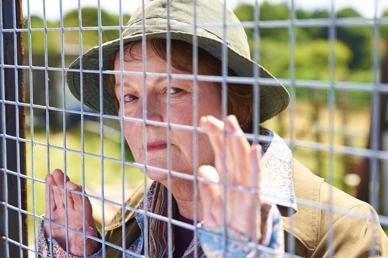 Vera Stanhope (Brenda Blethyn) – Bild: ITV Studios /​ Rachel Joseph