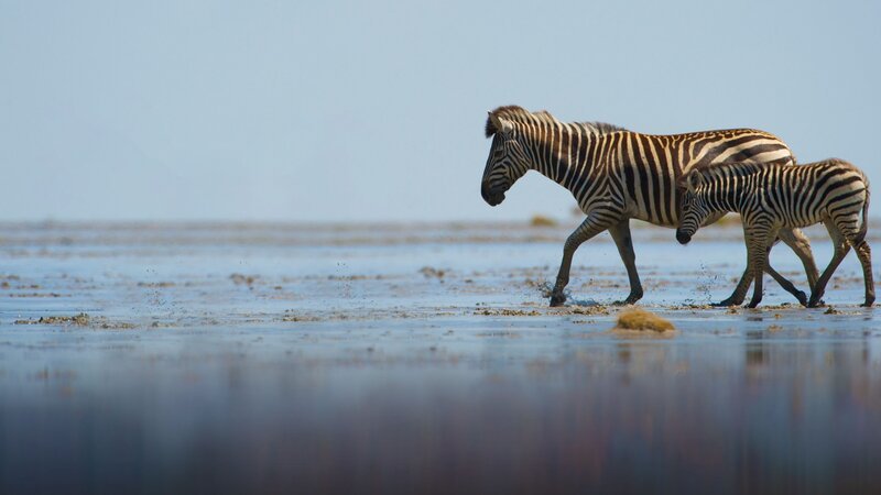 – Bild: RTL – Bild: RTL