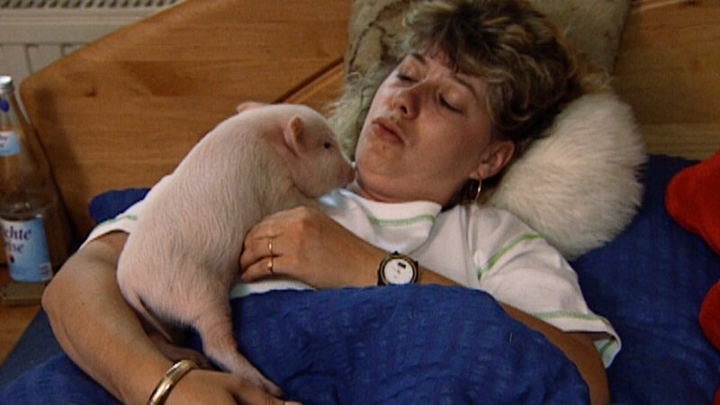 frau mit schwein – Bild: Spiegel Geschichte