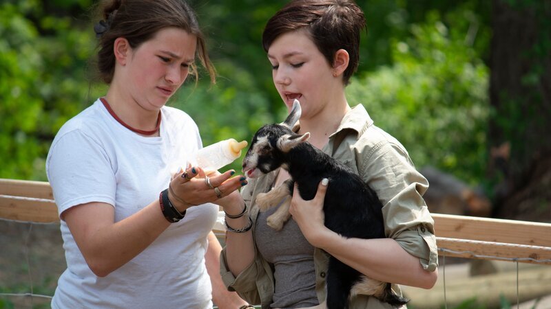Bird and Rain feed the goats in the pen – Bild: Discovery Communications, LLC